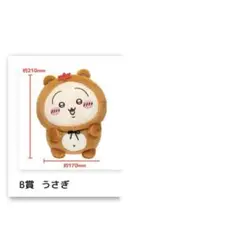 たぬきだもんくじ B賞 うさぎ