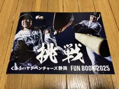 くふうハヤテベンチャーズ静岡 ファンブック 2025 選手名鑑 パンフレット