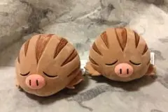 【2個セット】ウリムー　ポケモン　ぬいぐるみ