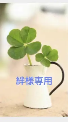 専用ページ