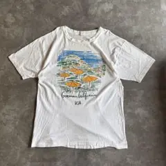 90s シングルステッチ アート スーベニア ゴーマン カルチャー ヴィンテージ