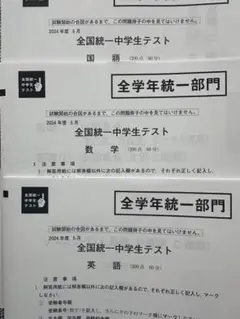2025年最新】全国統一中学生テスト 全学年部門の人気アイテム