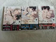 Sub様、躾の時間です　二条めも