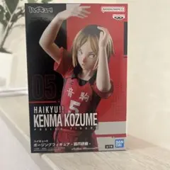 ハイキュー! 孤爪研磨 HAIKYU!! KENMA KOZUME