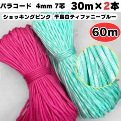 Item thumbnail for item a21a3455-6eb0-4a9c-b138-6cb1a0918fef