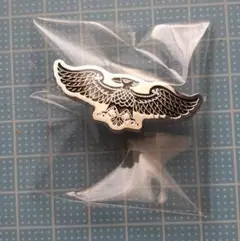 仮面ライダーピンバッジコレクション ショッカー