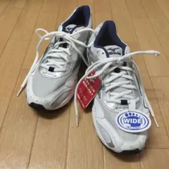 【 未使用品】MIZUNO ミズノ/ スニーカー 25cm 3E 白 ホワイト