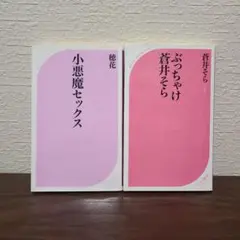 小悪魔セックス　ぶっちゃけ蒼井そら　2冊セット