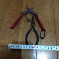 Item thumbnail for item 53583765-18ee-42f9-95a3-e7b56dffc1a3