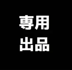 専用出品 ニンテンドー3DS