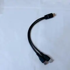 2台同時充電 2in1 スプリッター ケーブル 黒色 Type C オス
