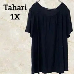 Item thumbnail for item 2c9d0588-23df-4a3f-b88b-36174a75b60f