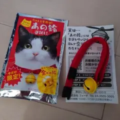 Item thumbnail for item c8d63999-a10e-476c-bf82-979d680a2d0e