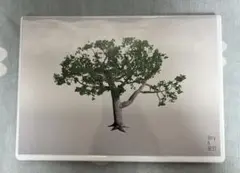 V6 Very6BEST 通常盤(3CD)