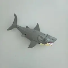ワイルドクエスト　メガシャーク　サメ