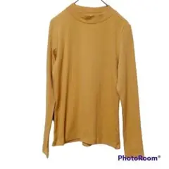 Item thumbnail for item 42152d24-0bfc-4772-906d-1dfc7710d3dc