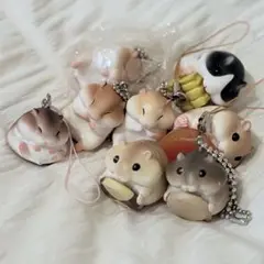 ハムスター好きさん向け ガチャガチャ カプセルトイ