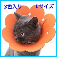 Item thumbnail for item 938ad613-3740-4e36-8fbc-38caab1a55e1