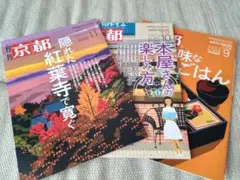 Item thumbnail for item 05a41631-ec0e-40ea-9442-b6402f7df6ac