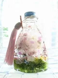 草原の中の桜ハーバリウム ギフトにも 母の日 誕生日 ギフトにも
