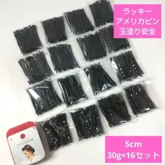 ❮ラッキー❯アメリカピン玉塗り波16セット(新品未使用)日本製