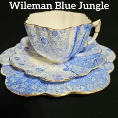 ワイルマン　プレート　イギリス　アンティーク　Wileman ワイルマン プレート イギリス アンティーク Wileman