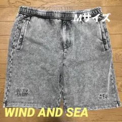 WIND AND SEA HIGH SULFER SHORT ウィンダンシー M
