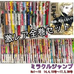ミラクルジャンプ 2025年最新】ミラクルジャンプ 13の人気アイテム - メルカリ