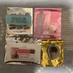 EBIDAN アロハ キーホルダー 名札 アクスタセット