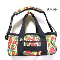 希少【a bathing ape】psyche/VYNAL Shoulder