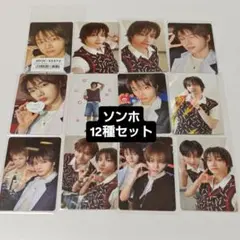 BOYNEXTDOOR ボネクド BOYLIFE ソンホ ラキドロ 12枚コンプ