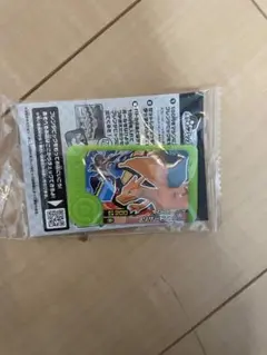 フレンダピック　ポケモン　リザードン＆ソウルブレイズ