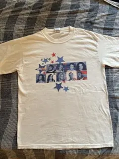 GILDAN コットン Tシャツ Mサイズ