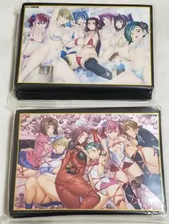 遊戯王ヒロインズ スリーブ 2種セット