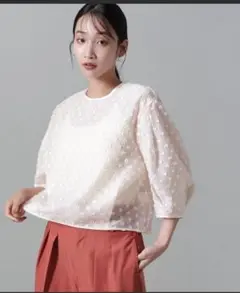 美品　ナノユニバース カットジャガードフォルムスリーブブラウス