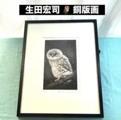 真作 生田宏司「芽生え」 ふくろう 39/95 鉛筆サイン入り 真作 生田宏司「芽生え」 ふくろう 39/95 鉛筆サイン入り - メルカリ