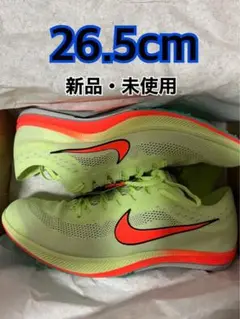 NIKEドラゴンフライ