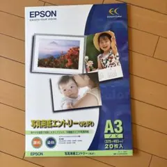 EPSON 写真用紙エントリー A3 ノビ　20枚入