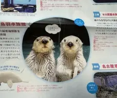 島羽水族館 ラッコ、天王寺動物園、王子動物園、神戸どうぶつ王国　近鉄ニュース