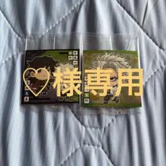 専用ページ