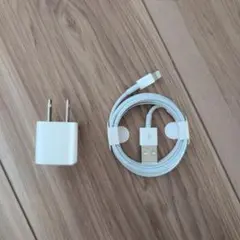 iPhone純正 Lightningケーブル USB プラグ ■apple