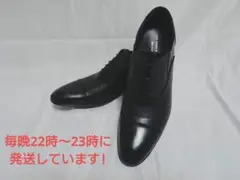 25cm gian franco giovanni ジャンフランコジョヴァンニ