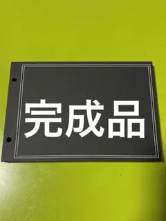 仕掛け アルバム 完成品