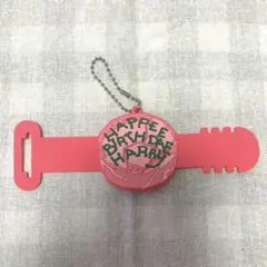 ハリーポッター カプセルトイ ラバーバンド