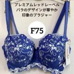 トリンプ プレミアム レッドレーベル0072 ブラ単品 F75 (パッドなし)