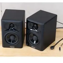 DENON デノンプロフェッショナル アクティブスピーカー　DN-304S 高音質高出力のコンパクトなパワード・スピーカー DENON DN-304S