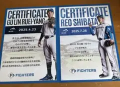 古林睿煬 柴田獅子 プロ初登板 証明書