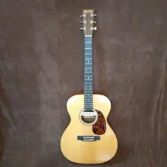 2025年最新】Martin 000-16GTの人気アイテム - メルカリ