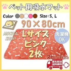 Item thumbnail for item a53c4ea0-6164-4e07-abd2-19871c7eee5e