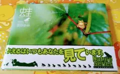 蛙 菅野泰伸 カエル 写真集